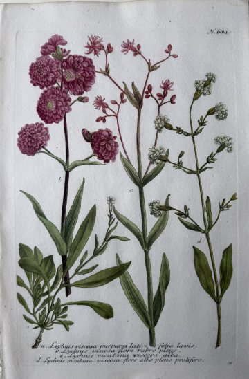 click for detailed image Weinmann 680a.jpg